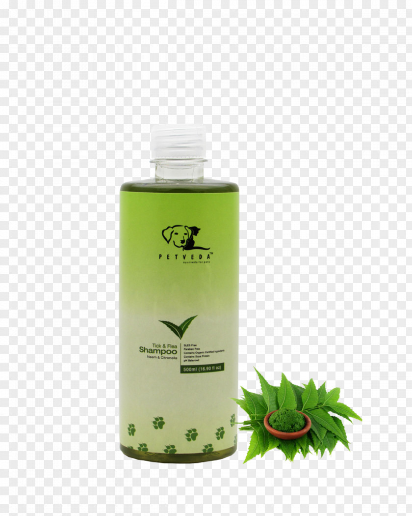 Flea Lotion Shampoo Sodium Laureth Sulfate Oil Neem Tree PNG