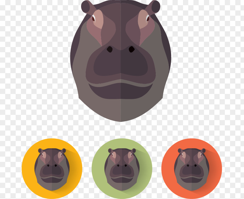 Hippo Avatar Hippopotamus Photography Illustration PNG