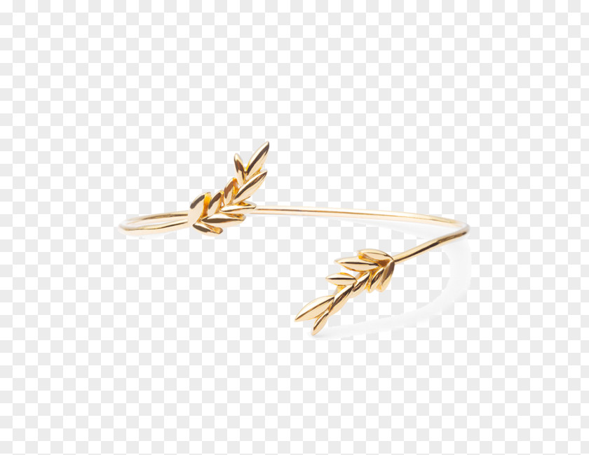 Olive Leaf Jewellery Clothing Accessories Wedding Ring Gold PNG