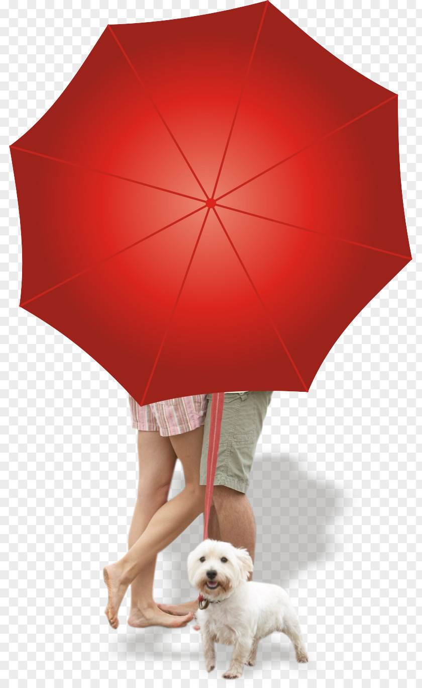 Open Red Umbrella PNG