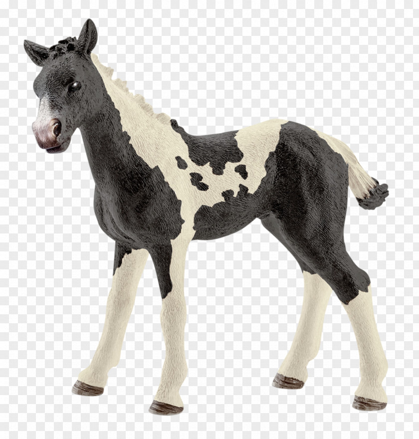 Toy Foal Gypsy Horse American Paint Andalusian Appaloosa PNG