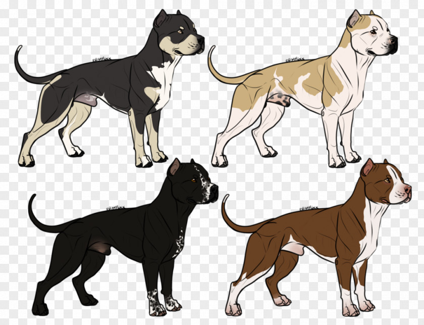 American Bully Dog Breed Drawing PNG