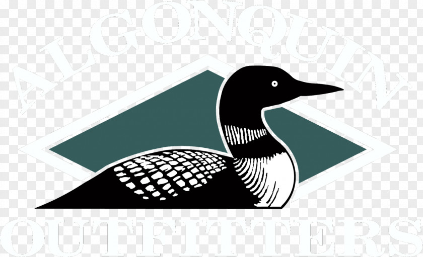 Cartoon Lake Water Common Loon Drawing Bird Duck Clip Art PNG
