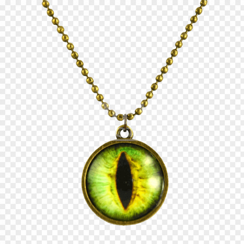 Dragon Necklace Charms & Pendants Colored Gold Jewellery PNG
