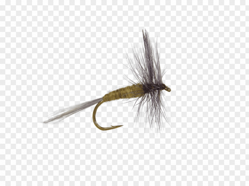 Fly Artificial Emergers Trout Flies: Naturals And Imitations Northern Pike PNG