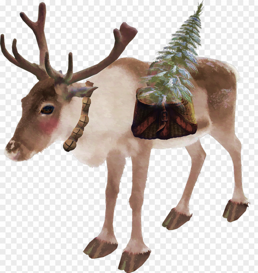 Reindeer Rudolph Elk Antler PNG