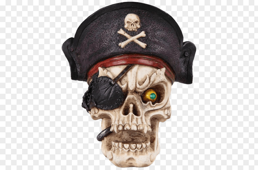 Captain Pirate Skull Head Piracy Bone Skeleton PNG
