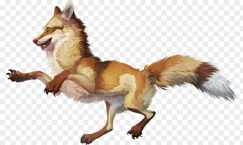 Dog Breed Red Fox Drawing Art PNG