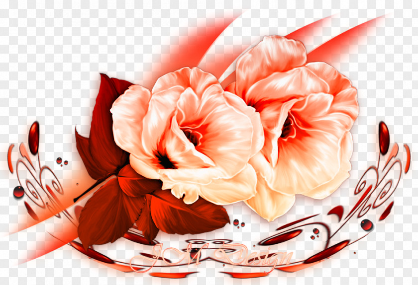 Marjan Jonkman Floral Design Cut Flowers Yandex Search Flower Bouquet PNG