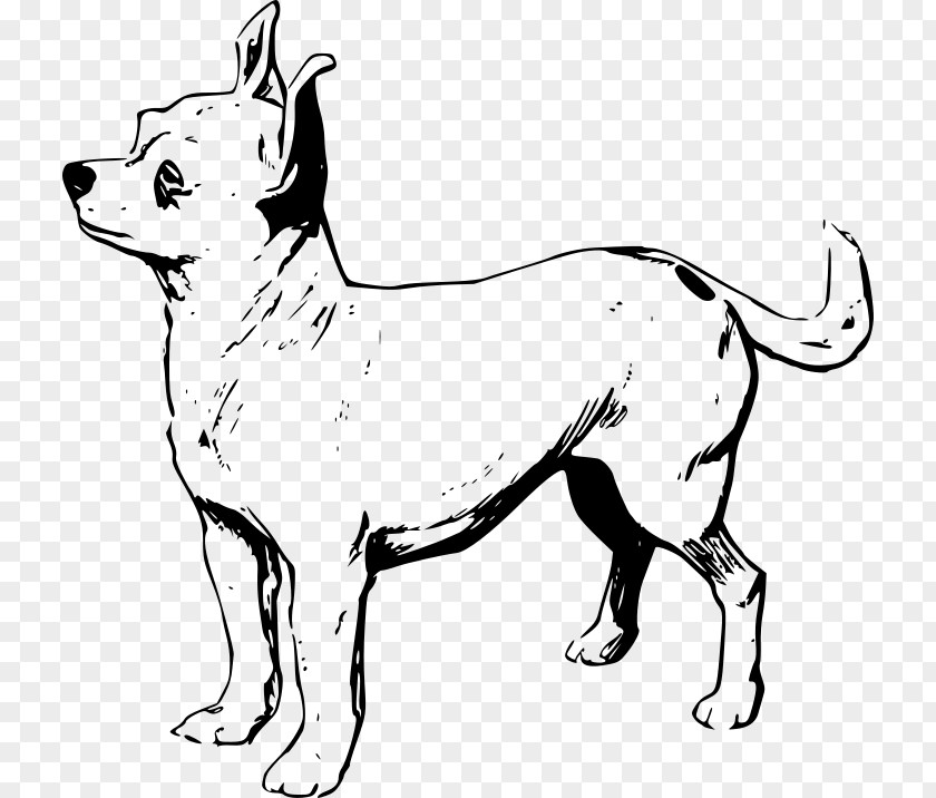 Puppy Chihuahua Line Art Drawing Clip PNG