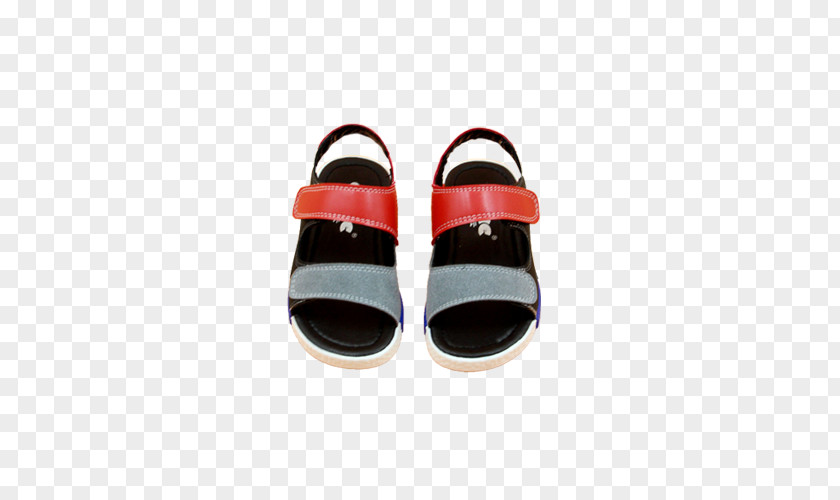A Pair Of Blue And Red Black Sandals Sandal Designer PNG