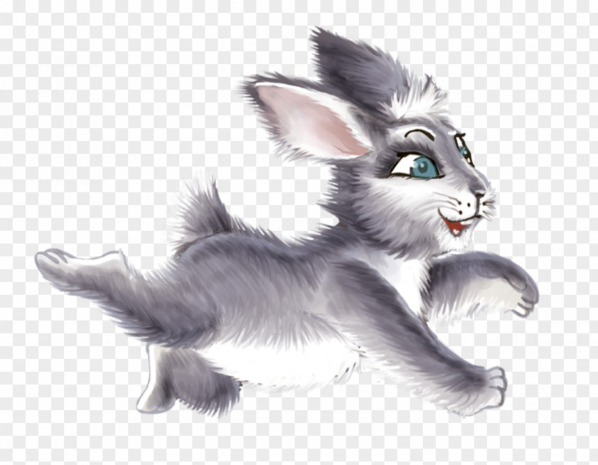 Cat Whiskers Hare Drawing Dog PNG