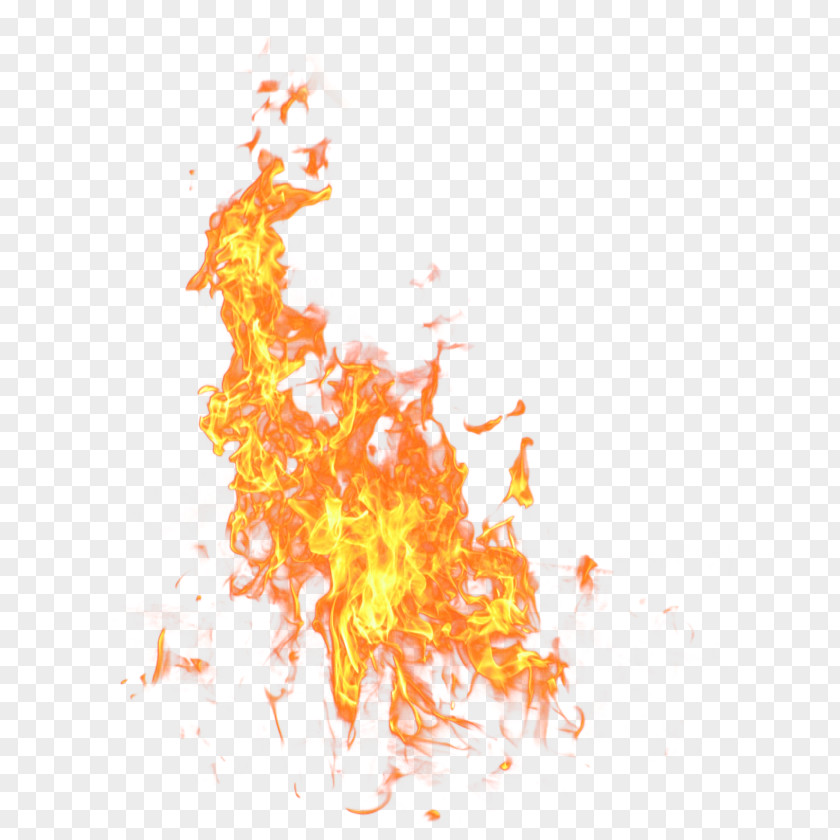 Fire Clip Art PNG
