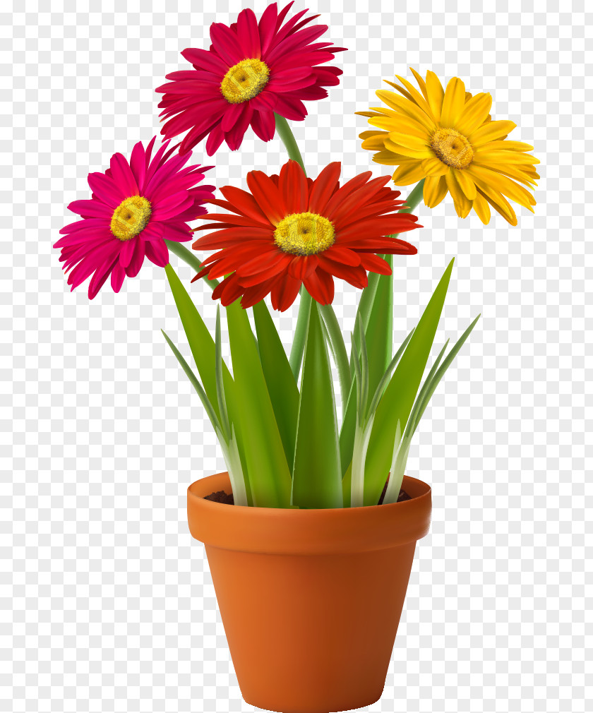 Flower Flowerpot Vase Clip Art PNG