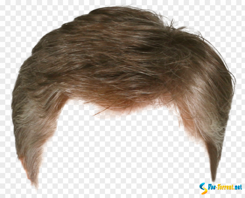 Hair Hairstyle Wig Barber Long PNG