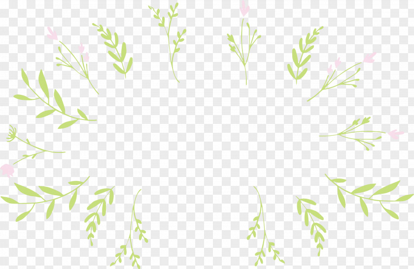 Leaf Branch PNG