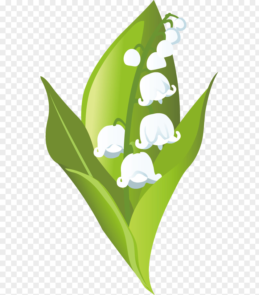 Cloud Nature Clip Art PNG