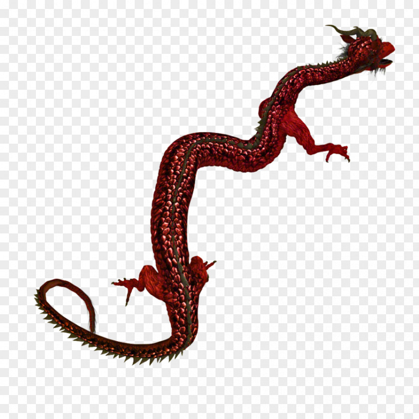 Eastern Dragon Reptile Character PNG