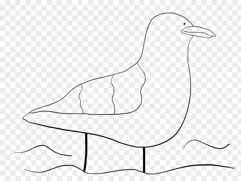 Ellie Beak Drawing Line Art Water Bird Clip PNG