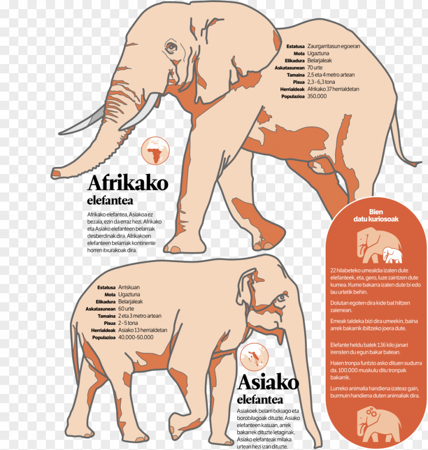 Newspaper Infographic Indian Elephant African Wiki Loves Monuments Wikimedia Foundation PNG