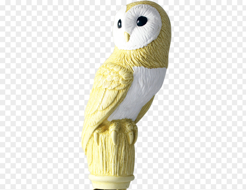 Owl Beak PNG