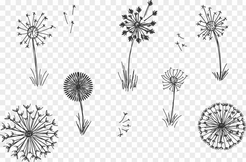 Plant Flowering Grass Hand Painted Flock Flying Common Dandelion Euclidean Vector PNG