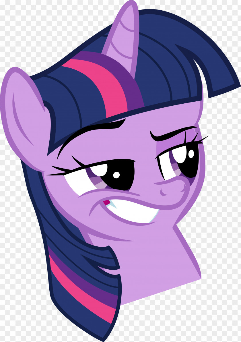 Twilight Sparkles My Little Pony Sparkle DeviantArt PNG