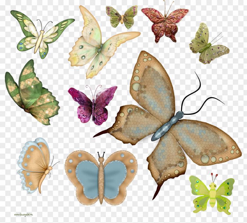 Brush-footed Butterflies Silkworm Clip Art And Moths Symmetry PNG