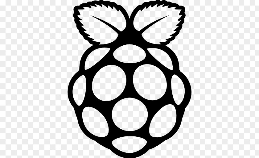Raspberry Logo Pi The MagPi PNG