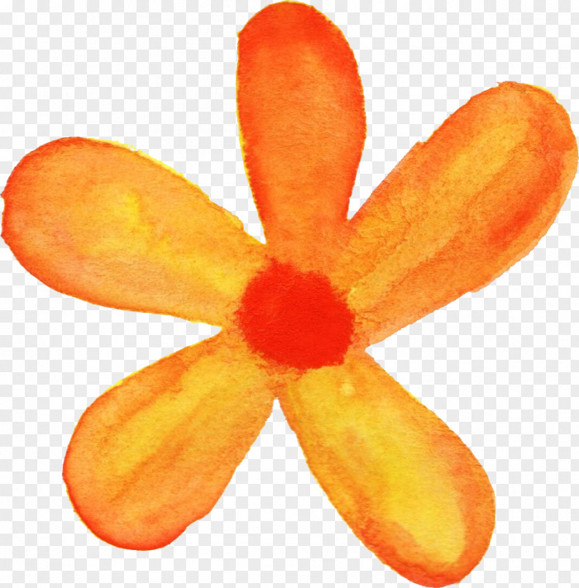 Watercolor Flower Painting Crayon PNG