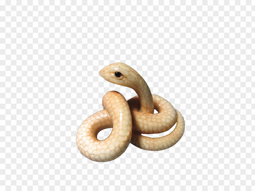 White Snake Rattlesnake PNG