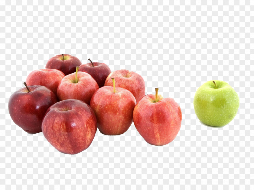 A Green Apple And Bunch Of Red Apples Foundations Psychology: An Introductory Text Amazon.com Book Education Industrial Organizational Psychology PNG