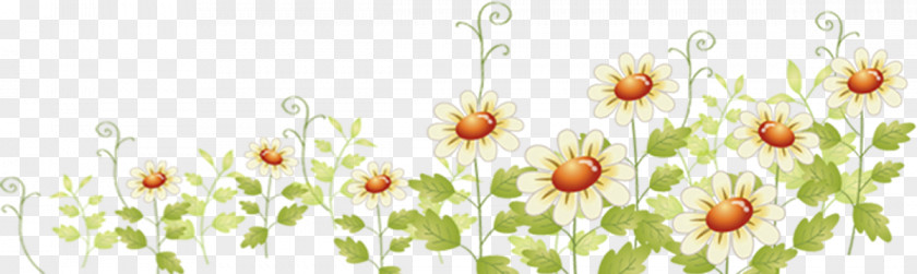 Design Floral Download PNG