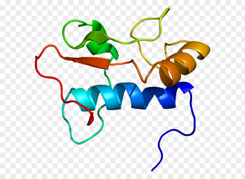 Ird GTF2I General Transcription Factor Genome Protein PNG