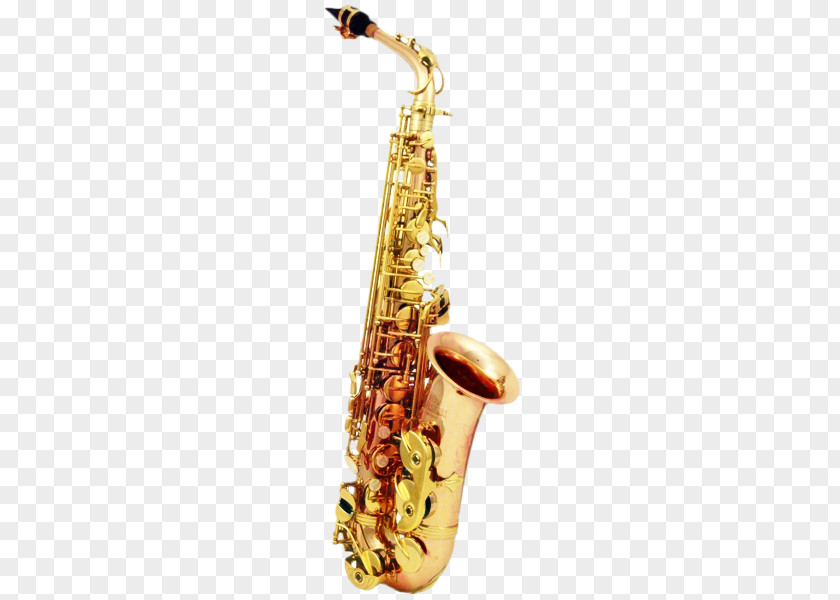 Jewellery Brass Instruments PNG