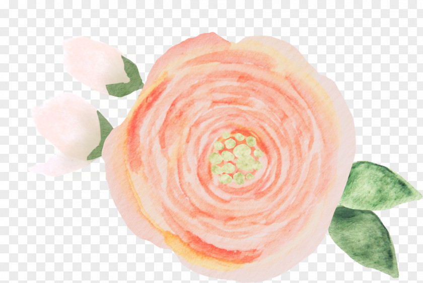 Sprinkle Flowers To Celebrate Garden Roses Founded In Honor Petal Cut PNG