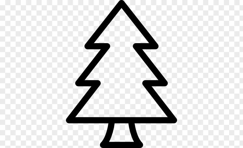 Tree Pine Fir PNG