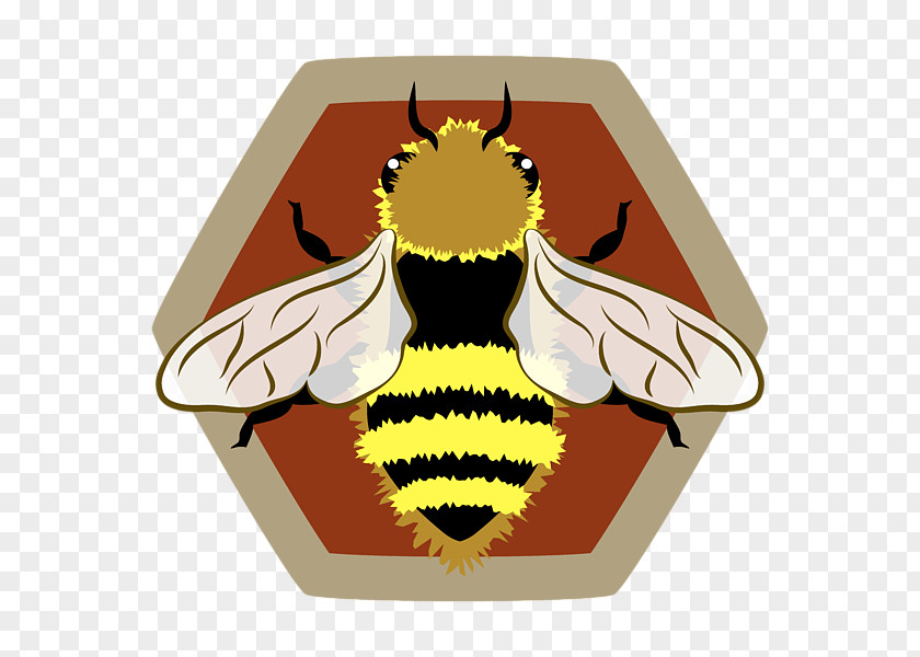 Western Honey Bee Honeycomb Beehive Africanized PNG