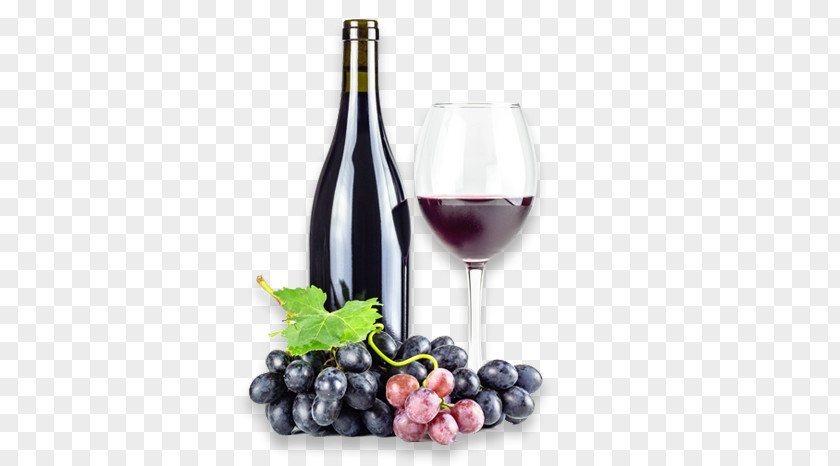 Wine Red Cooler Enoteca Pilotti Common Grape Vine PNG