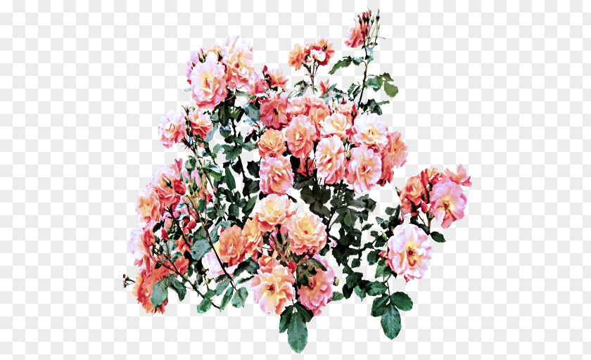 Bouquet Garden Roses PNG