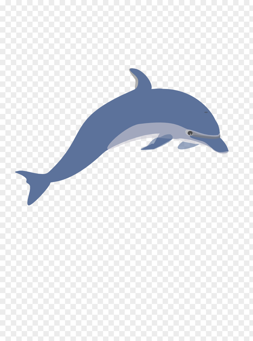 Dolphin Common Bottlenose Tucuxi Clip Art PNG