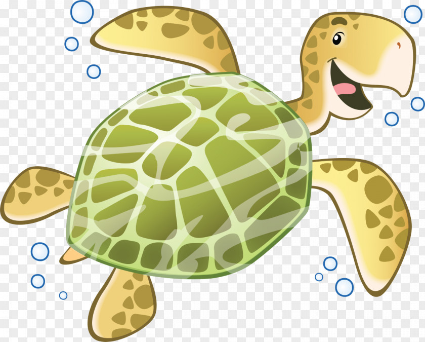 Turtle Drawing Child Sticker Mural PNG