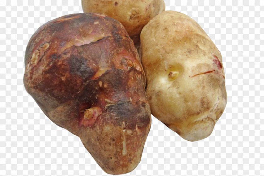 Vegetable Jerusalem Artichoke Food Inulin PNG