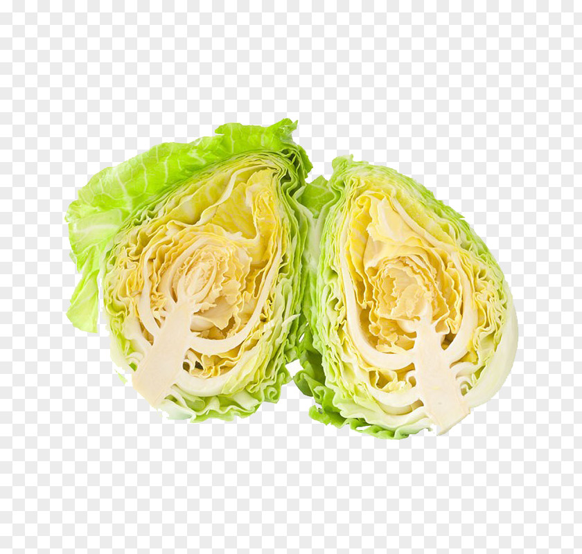 Cross Section Of Fresh Cabbage Savoy Romaine Lettuce PNG