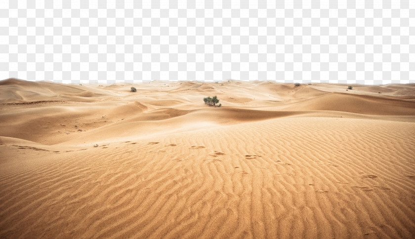 Desert Sahara Erg PNG