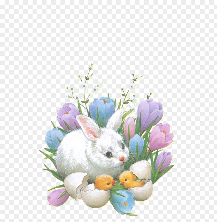 Flowers Rabbit Easter Bunny Happiness Happy Wallpaper PNG