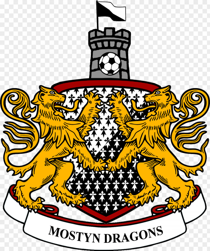Football Mostyn Dragons F.C. Welsh Alliance League National (Wrexham Area) Vale Of Clwyd And Conwy PNG