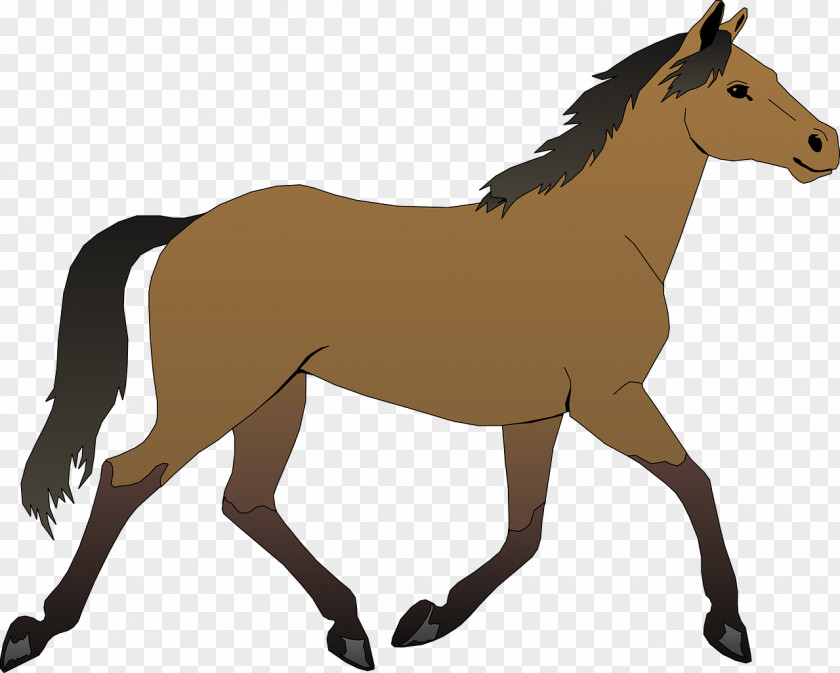 Running Horse Foal Clip Art PNG