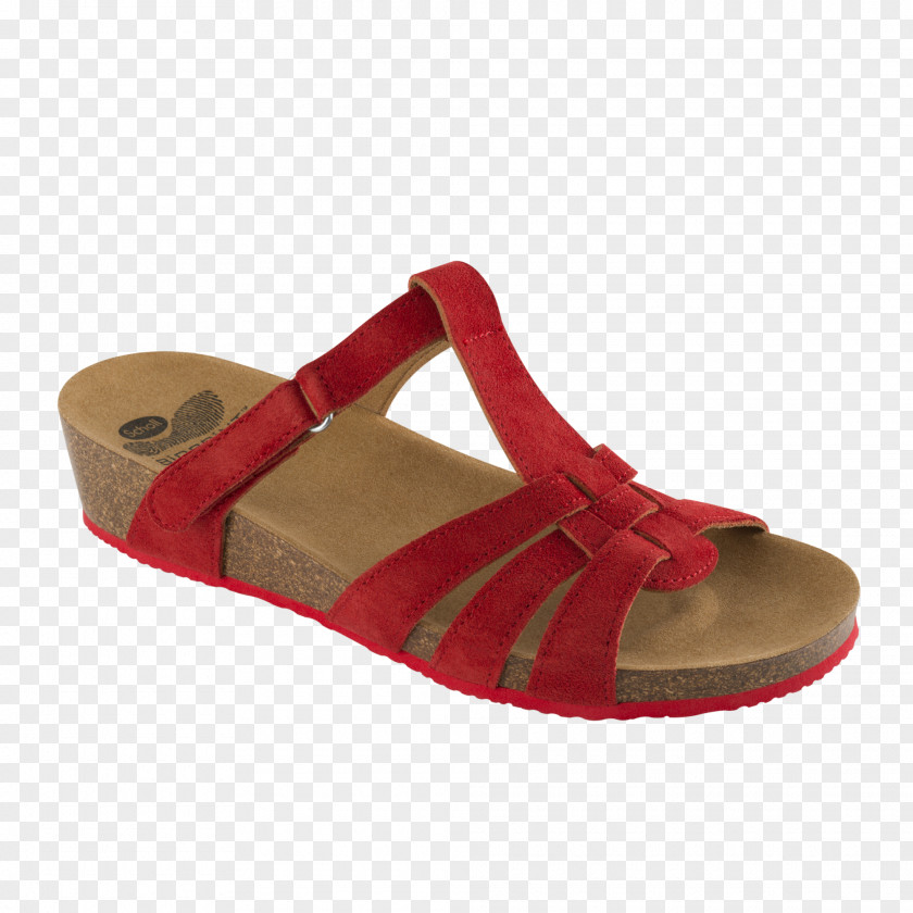 Sandal Slide Shoe Walking PNG