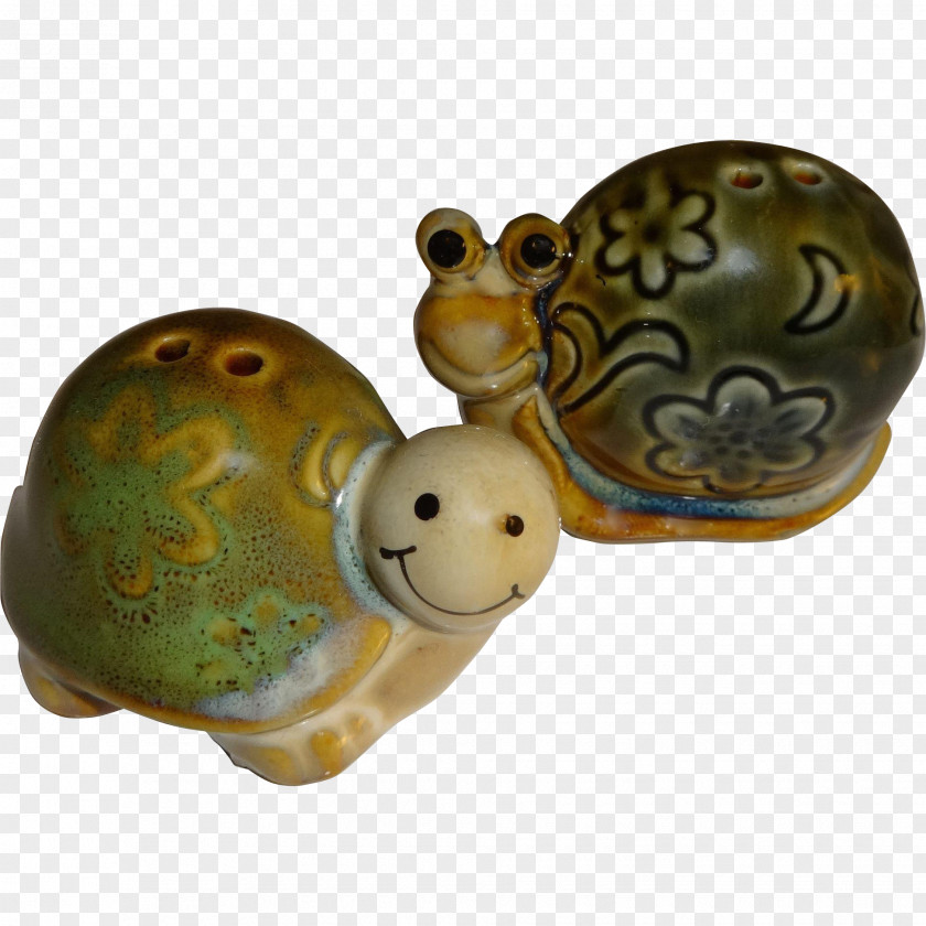 Snail Turtle Gastropods Ceramic Tortoise PNG
